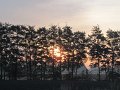 009 (2)